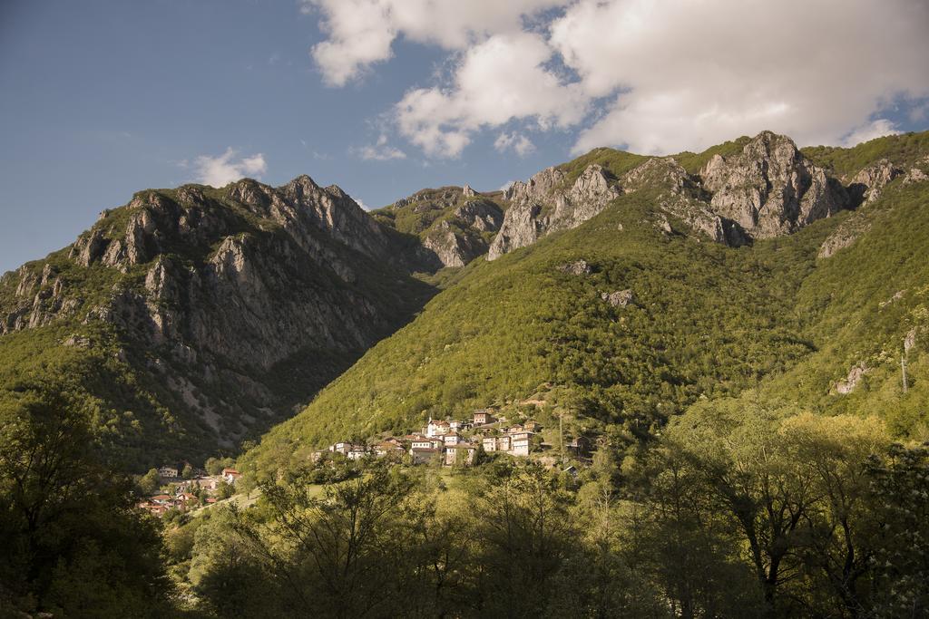 Апартаменти Radika View House Galicnik Номер фото