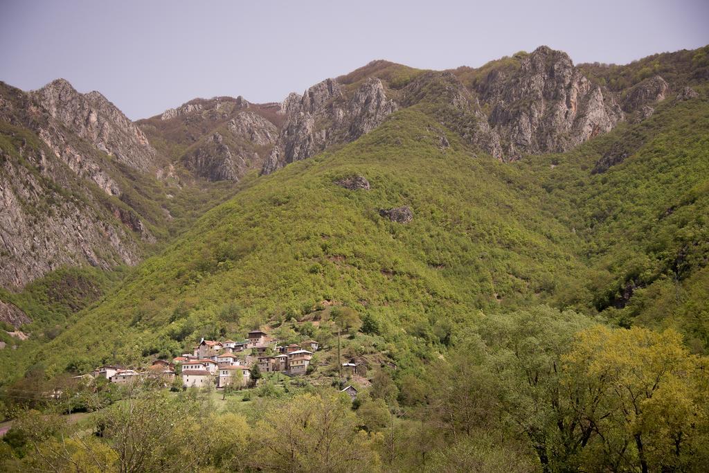 Апартаменти Radika View House Galicnik Номер фото