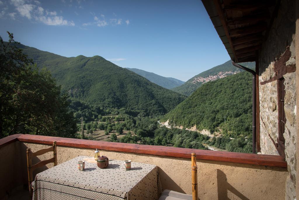 Апартаменти Radika View House Galicnik Екстер'єр фото